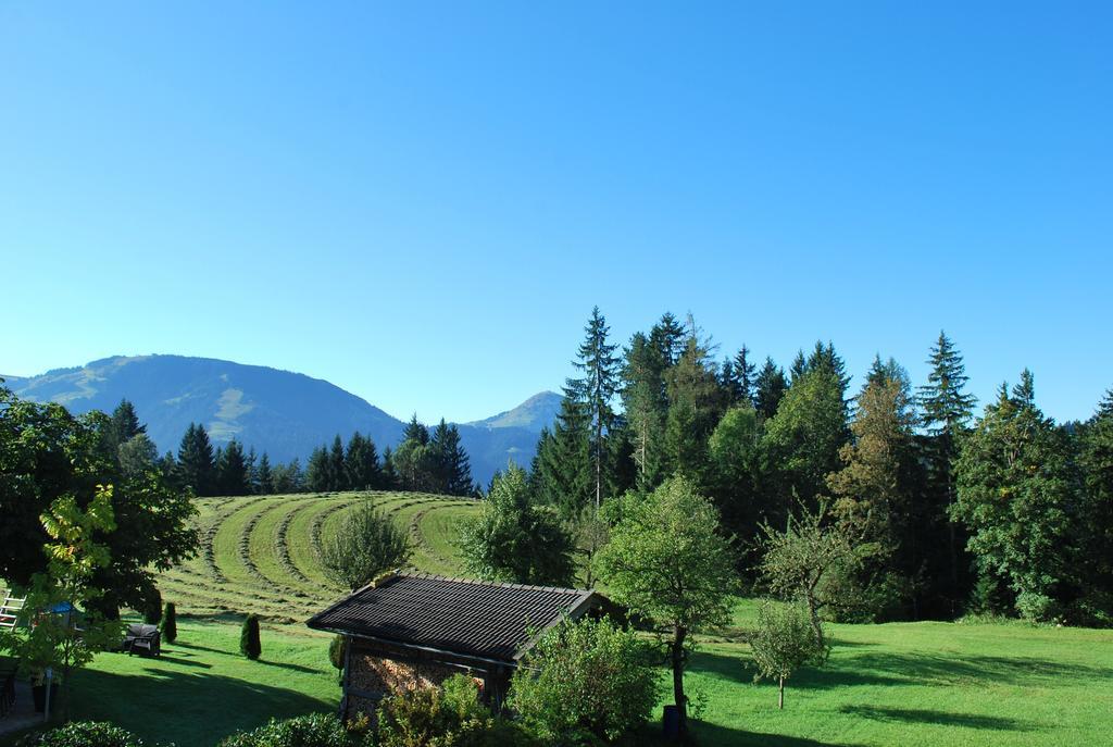 Berggasthof Baernstatt شيفو أم فيلدن كايزر المظهر الخارجي الصورة